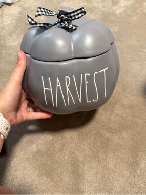 Rae Dunn Gray Pumpkin Harvest Canister